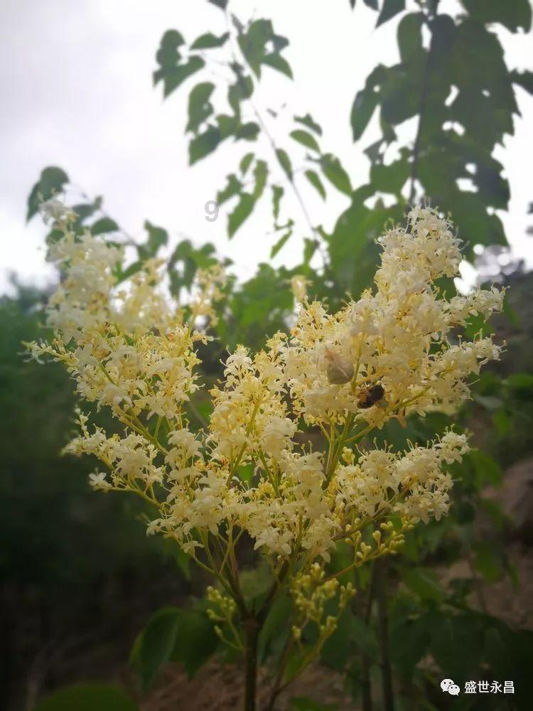 算术24点
